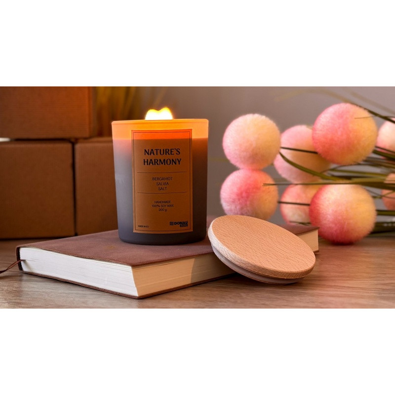 Świeca sojowa DONAU HOME, w szarym szkle, drewniana pokrywa i knot, Nature's Harmony, 200g