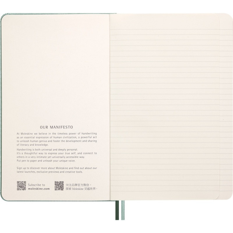 Notes MOLESKINE Snake 2025, L, synt. skóra węża, w linie, 13x21 cm, w pudełku, zielony