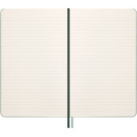 Notes MOLESKINE Snake 2025, L, synt. skóra węża, w linie, 13x21 cm, w pudełku, zielony