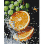 Malowanie po numerach BRUSHME, 40x50 cm, soczysta kombinacja, 1 szt., w pudełku