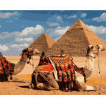 Malowanie po numerach BRUSHME, 40x50 cm, symbole Egiptu, 1 szt., w pudełku