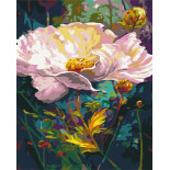 Malowanie po numerach BRUSHME, 40x50 cm, wspaniały kwiat, 1 szt., w pudełku