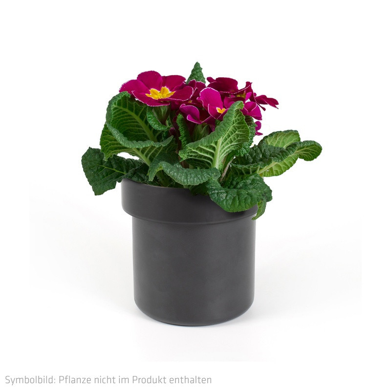 Doniczka sejf SAX, czarna