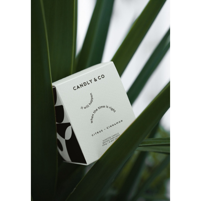 Świeca sojowa w szkle CANDLY&CO, It Will Happen When The., zapach No.3, 250g