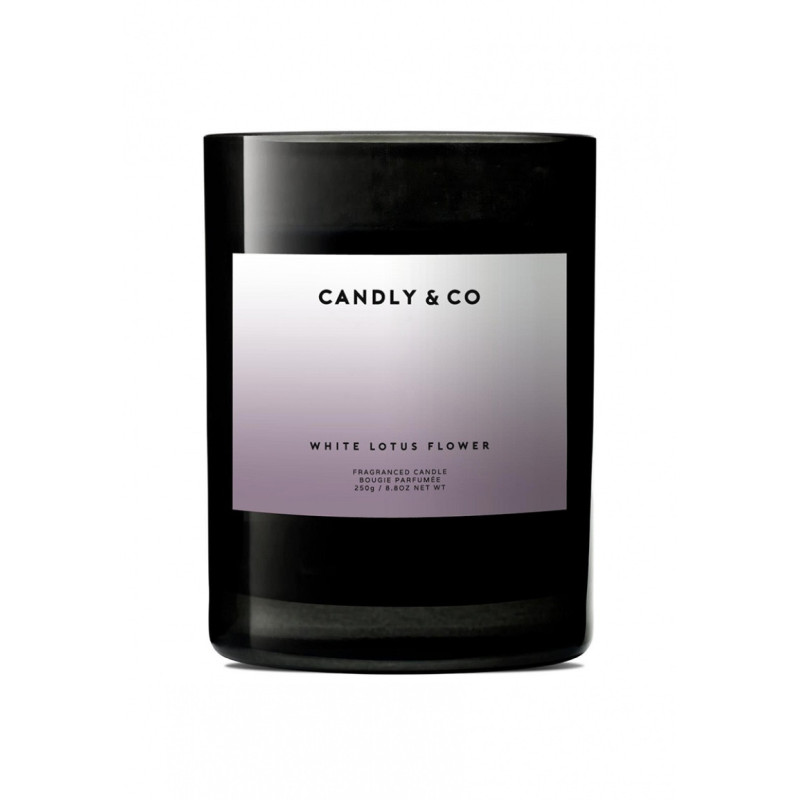 Świeca sojowa w szkle CANDLY&CO, bez cytatu, zapach No.8, 250g