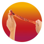 Proca na palec XXL TRENDHAUS ZOO, żaba, mix kolorów