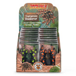 Gumka do ścierania tarantula TRENDHAUS ZOO, mix kolorów