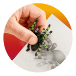 Gumka do ścierania tarantula TRENDHAUS ZOO, mix kolorów