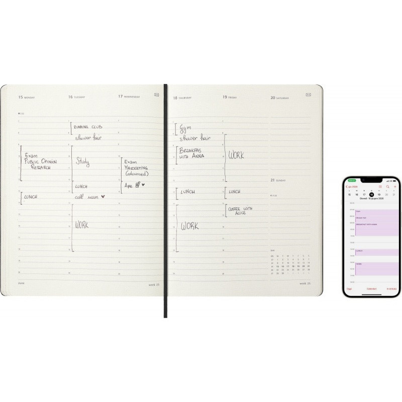 Kalendarz miesięczny MOLESKINE 2026, 12M, XL, twarda oprawa, 19x25cm, czarny