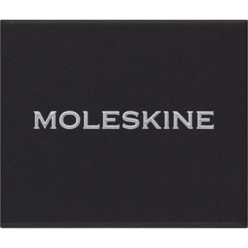 Przypinka MOLESKINE Z, srebrna