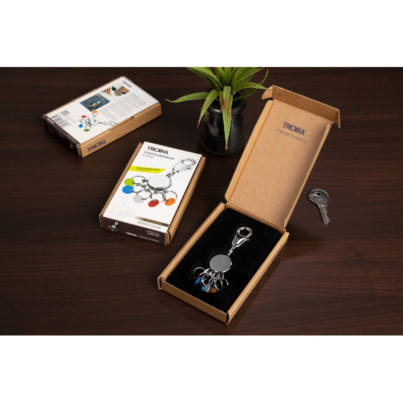 Brelok TROIKA Patent Colour, z karabińczykiem, na 5 kluczy, kolorowe znaczniki, stalowy