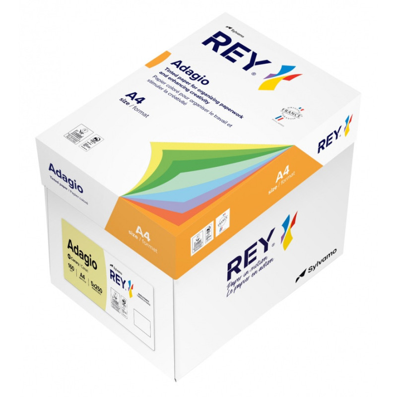 Papier ksero REY ADAGIO, A4, 160gsm, 49 żółty kanarkowy pastel *RYADA160X471 R100, 250 ark.