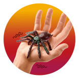 Pająk gumowy TRENDHAUS ZOO, mix kolorów