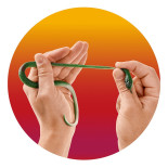 Rozciągliwy wąż TRENDHAUS ZOO, 30 cm, mix kolorów