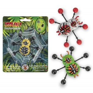 Biegacz okienny pająk TRENDHAUS ZOO, mix kolorów