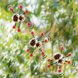 Biegacz okienny pająk TRENDHAUS ZOO, mix kolorów