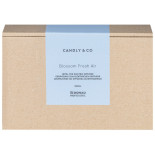 Uzupełnienie do dyfuzora elektrycznego DONAU PROFESSIONAL by CANDLY&CO, 200ml, Blossom Fresh Air