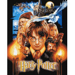 Malowanie po numerach IDEYKA, 40x50cm, metallic, Harry Potter: Plakat, 1 szt.