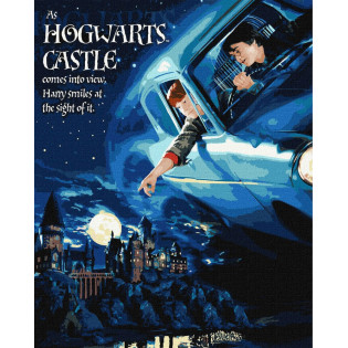 Malowanie po numerach IDEYKA, 40x50cm, metallic, H