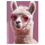 Zeszyt szkolny GIMBOO, A5, w kratkę, 16 kart., 70gsm, mix wzorów