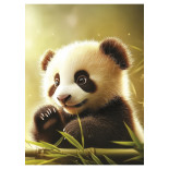 Zeszyt szkolny GIMBOO, A5, w 3 linie, 16 kart., 70gsm, mix wzorów