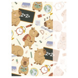 Zeszyt szkolny GIMBOO, A5, w kratkę, 32 kart., 70gsm, mix wzorów