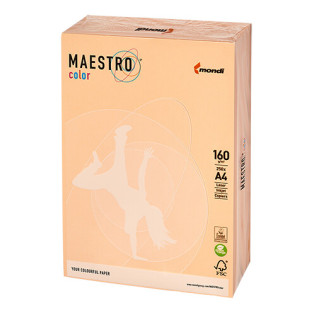 PAPIER KSERO KOLOR A4 80G ŁOSOSIOWY MAESTRO SA24 