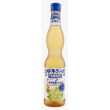 Syrop FABBRI, kwiat czarnego bzu, 560ml