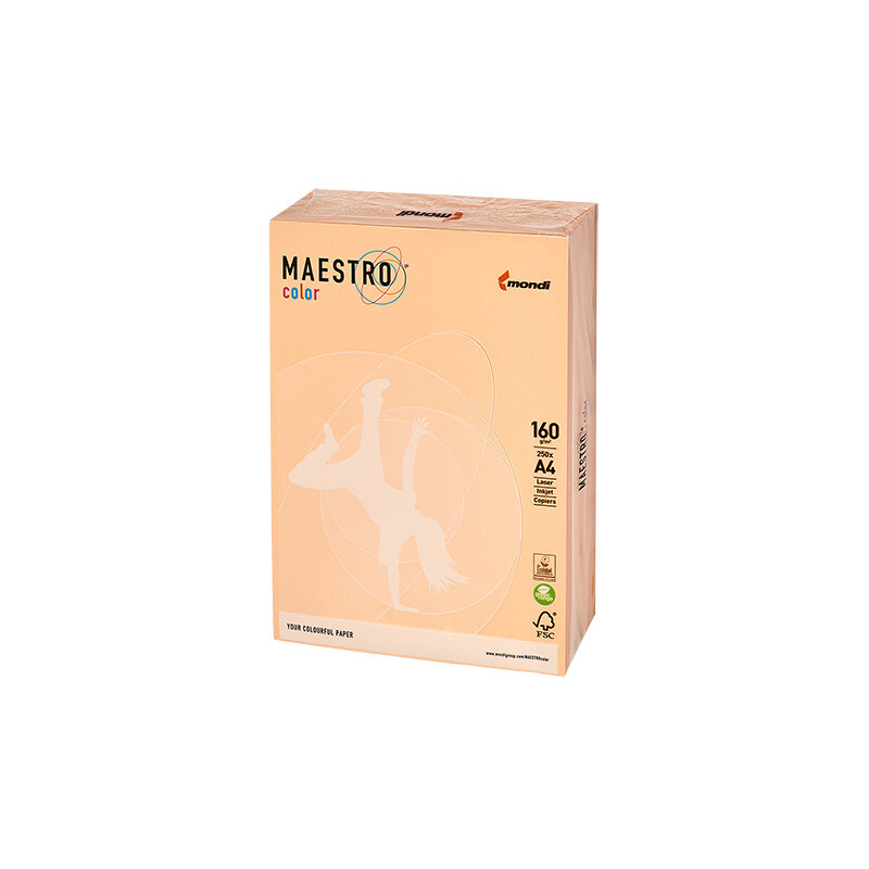 PAPIER KSERO KOLOR A4 80G ŁOSOSIOWY MAESTRO SA24 