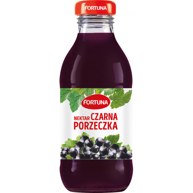 Nektar FORTUNA, czarna porzeczka, szkło, 0,3l