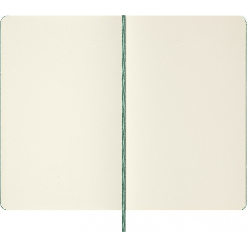 Notes MOLESKINE 2026, L, 13x21cm, gładki, twarda oprawa, Sage Green