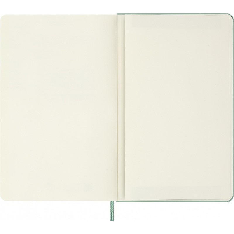 Notes MOLESKINE 2026, L, 13x21cm, gładki, twarda oprawa, Sage Green