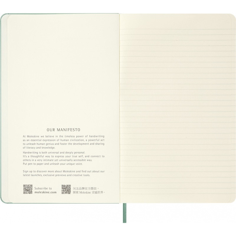 Notes MOLESKINE 2026, L, 13x21cm, w linie, twarda oprawa, Sage Green