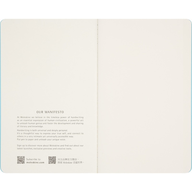 Zestaw 2 zeszytów MOLESKINE Cahier Impresjonizm Musée d'Orsay, L, gładkie