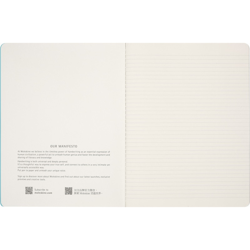 Zeszyt MOLESKINE Cahier Impresjonizm Musée d'Orsay, XL, gładki