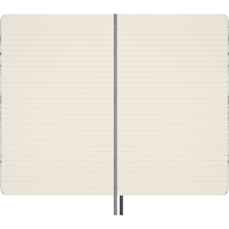 Notes MOLESKINE NASA, L, w linie