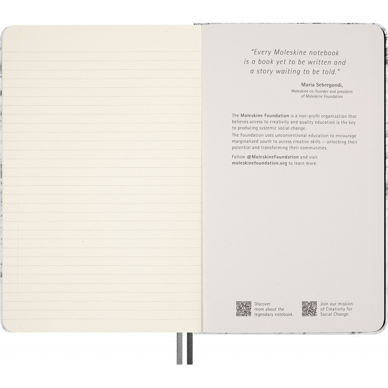 Notes MOLESKINE NASA, L, w linie, box