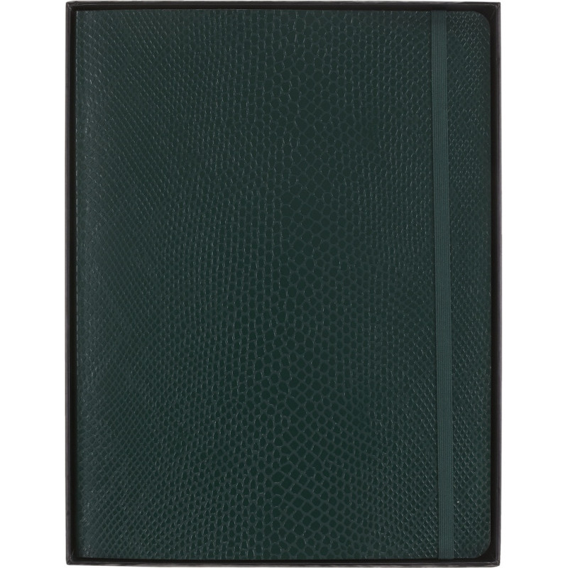 Notes MOLESKINE Pro, edycja limitowana Boa Synthetic, XL, w linie, zielony, box