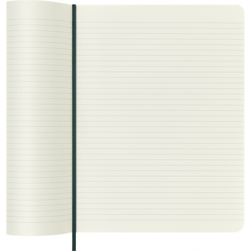 Notes MOLESKINE Pro, edycja limitowana Boa Synthetic, XL, w linie, zielony, box