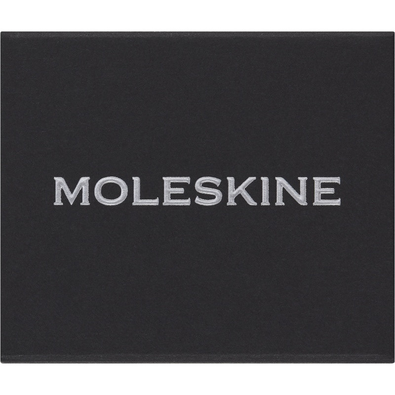 Przypinka MOLESKINE Star Crystal, srebrna