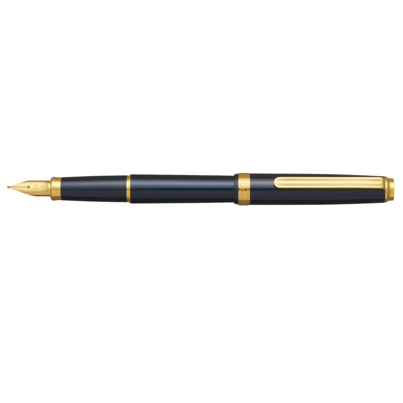 Pióro wieczne Platinum BISO Nebula Black F, w pudełku, czarne
