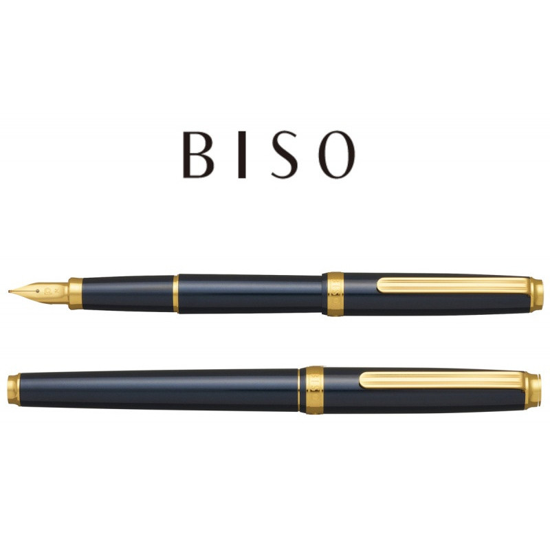 Pióro wieczne Platinum BISO Nebula Black M, w pudełku, czarne